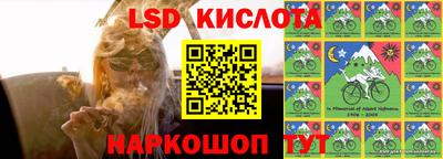 МДПВ Рузаевка