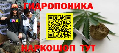 амф Рыбинск