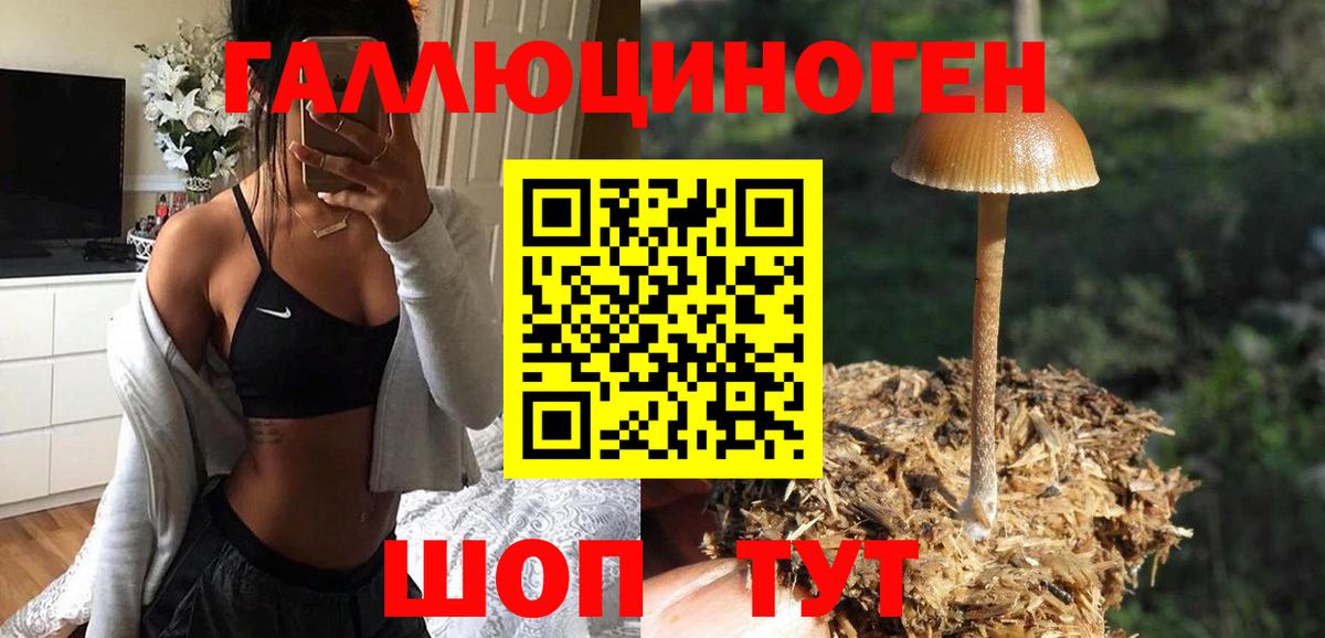 Галлюциногенные грибы Magic Shrooms Новотроицк